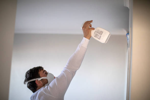 Best Fast Mold Removal  in New Berlinville, PA