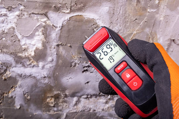 Best Professional Mold Removal  in New Berlinville, PA