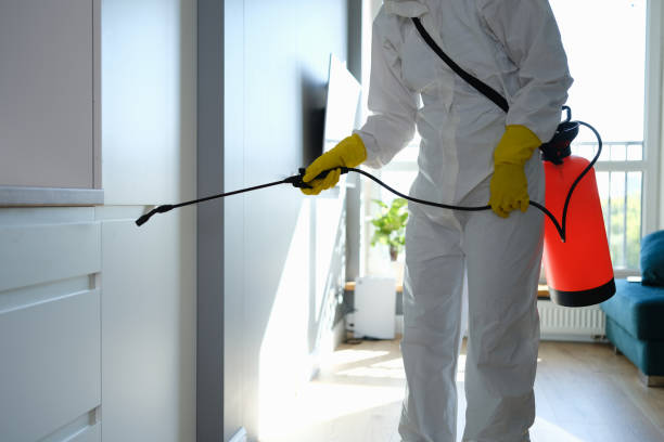 Best Mold Cleaning Services  in New Berlinville, PA