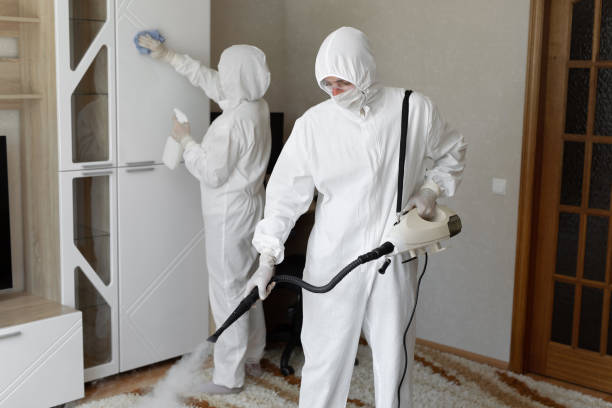 Best Local Mold Removal Service  in New Berlinville, PA